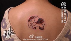 Ů���󱳳����ɰ���С������ͼ��