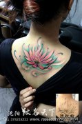 女生后背唯美写意的彩色莲花纹身图案