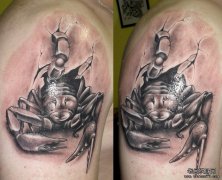 ����һ��ŷ��Ы������ͼ��