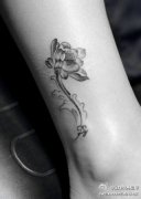 女生小腿唯美潮流的黑灰莲花纹身图案
