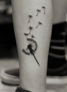 �Ƽ�һ�����ʱ�е�С���ѹ�Ӣ����ͼ��