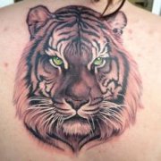 ����һ�����ʱ�еĺ��ϻ�����ͼ��