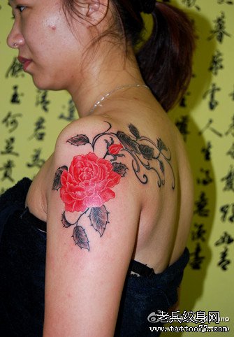 �첲õ������ͼ��