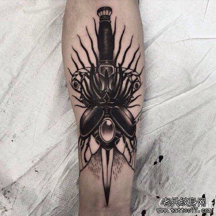 �ֱ���������ͼ��