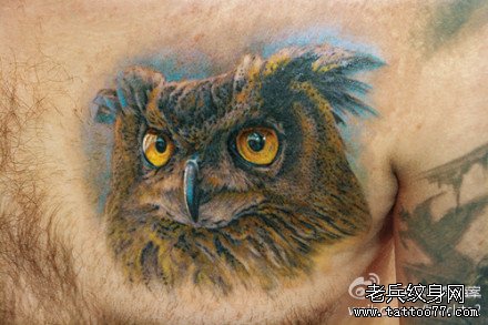 猫头鹰纹身胸前图片