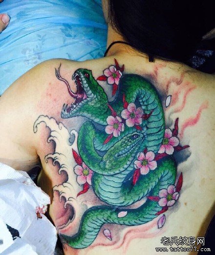 后背绿毒蛇纹身图案