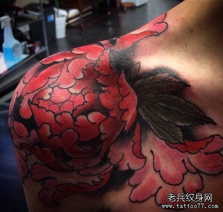 红牡丹花纹身图案