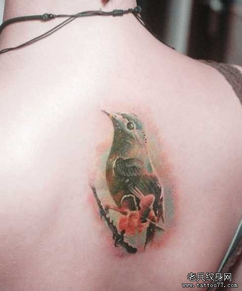 ��Сҹݺ����ͼ��