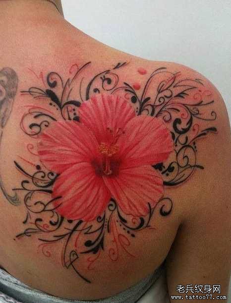 �󱳻�������ͼ��