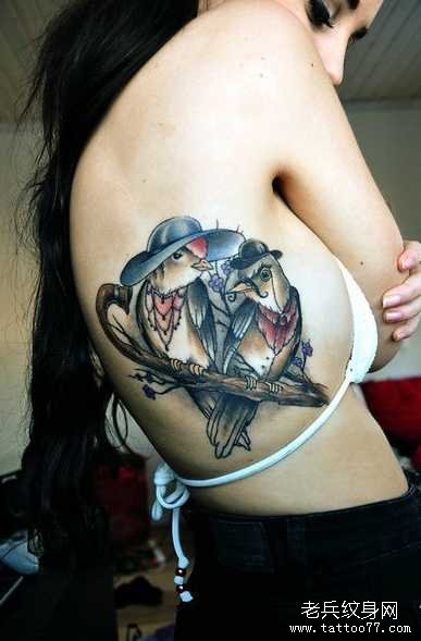 ��ֻС������ͼ��