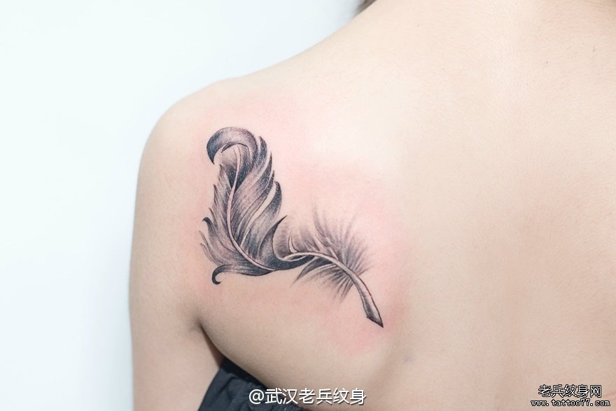 后背羽毛刺青图案作品
