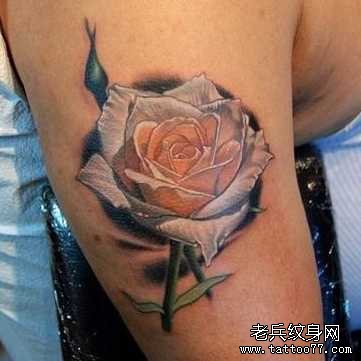 胳膊白玫瑰纹身图案