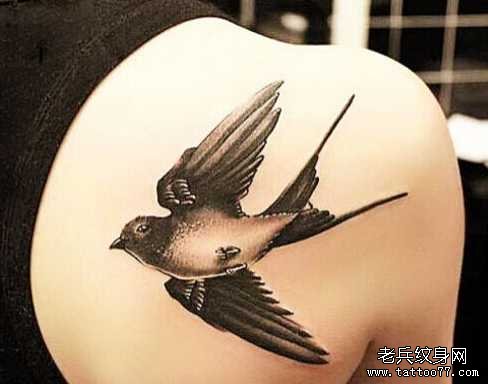 ��С��������ͼ��