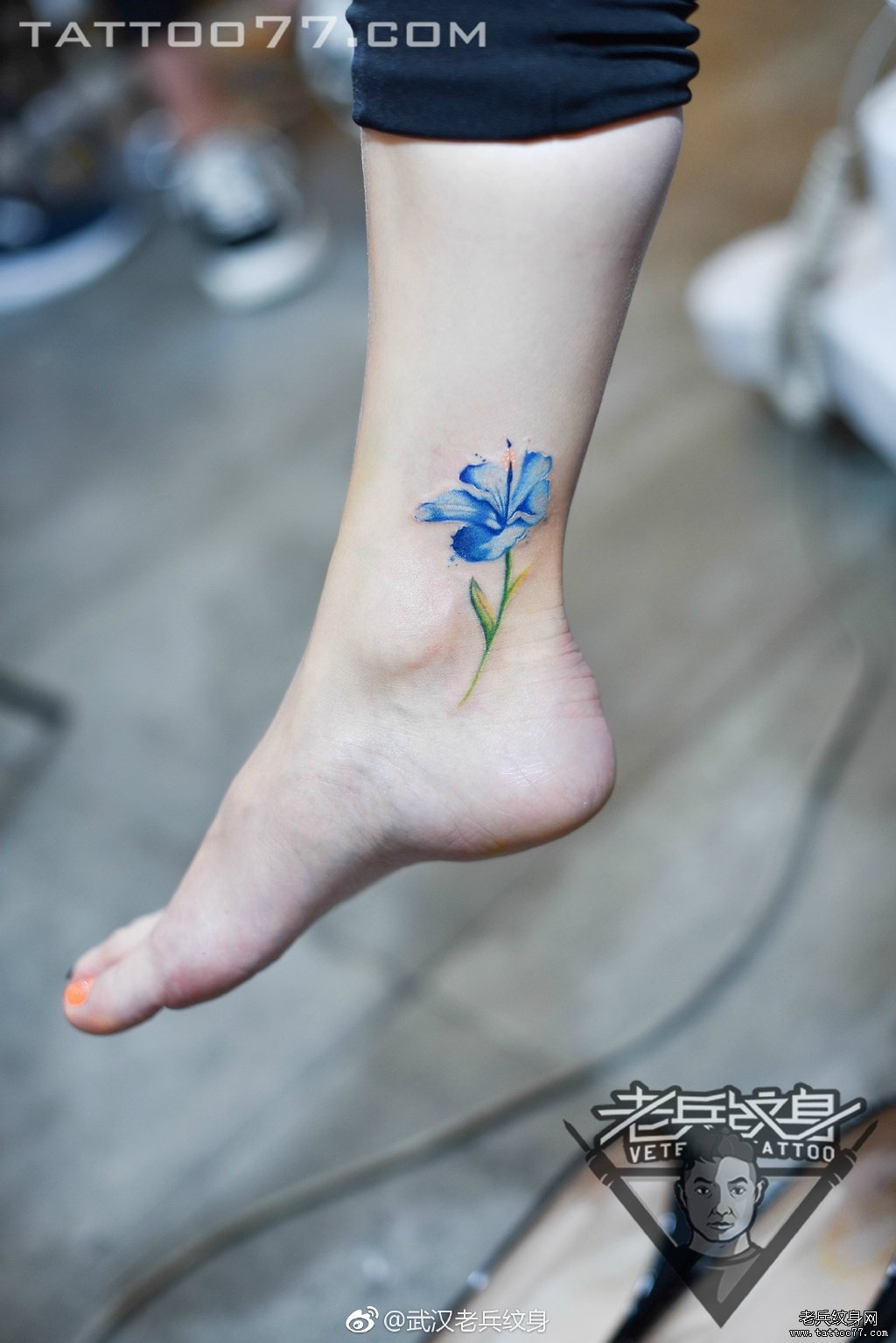 脚踝猫咪纹身_上海纹身 上海纹身店 上海由龙纹身2号工作室