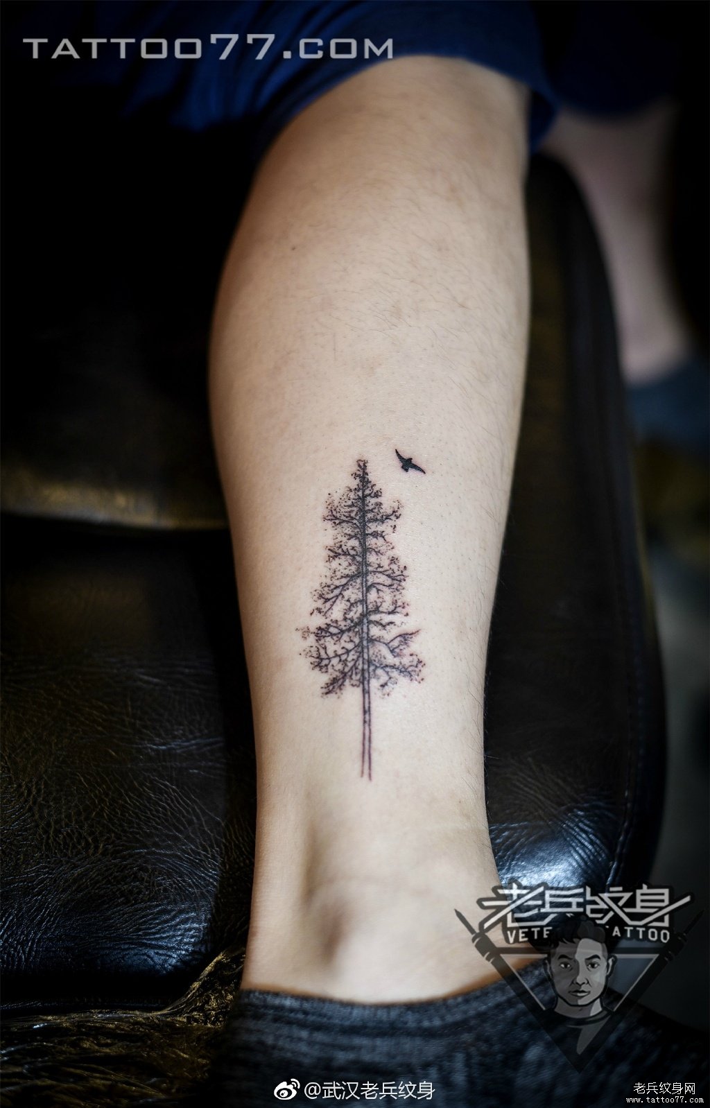 大树纹身图案小腿图片