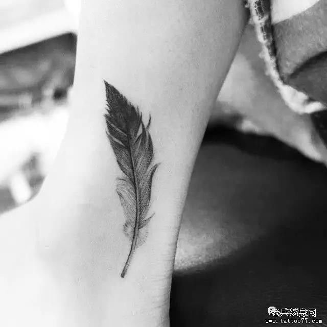 �ֱ���ë����ͼ��