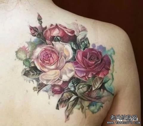 水彩玫瑰花肩胛纹身图案
