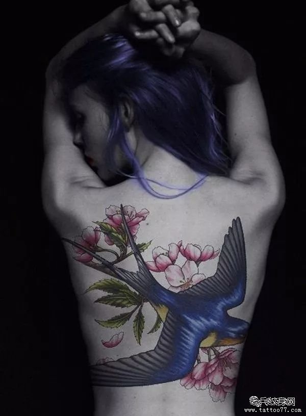 满背色彩花鸟纹身图案