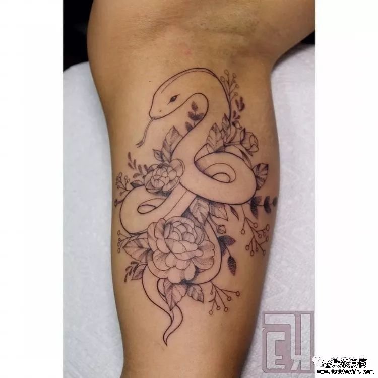 手臂线条花蛇纹身图案