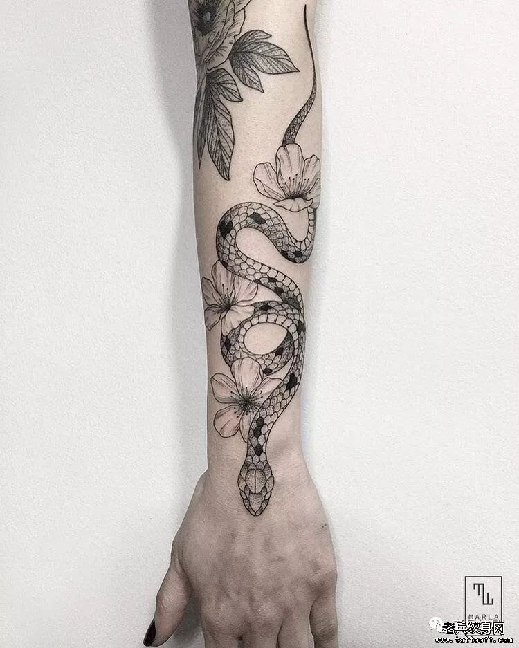黑灰樱花蛇手臂纹身图案