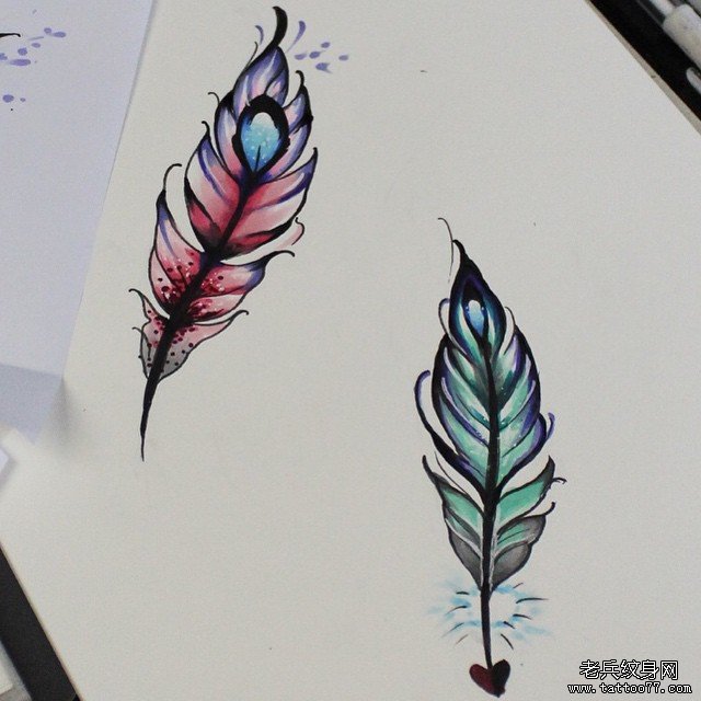 羽毛纹身手稿彩色图片