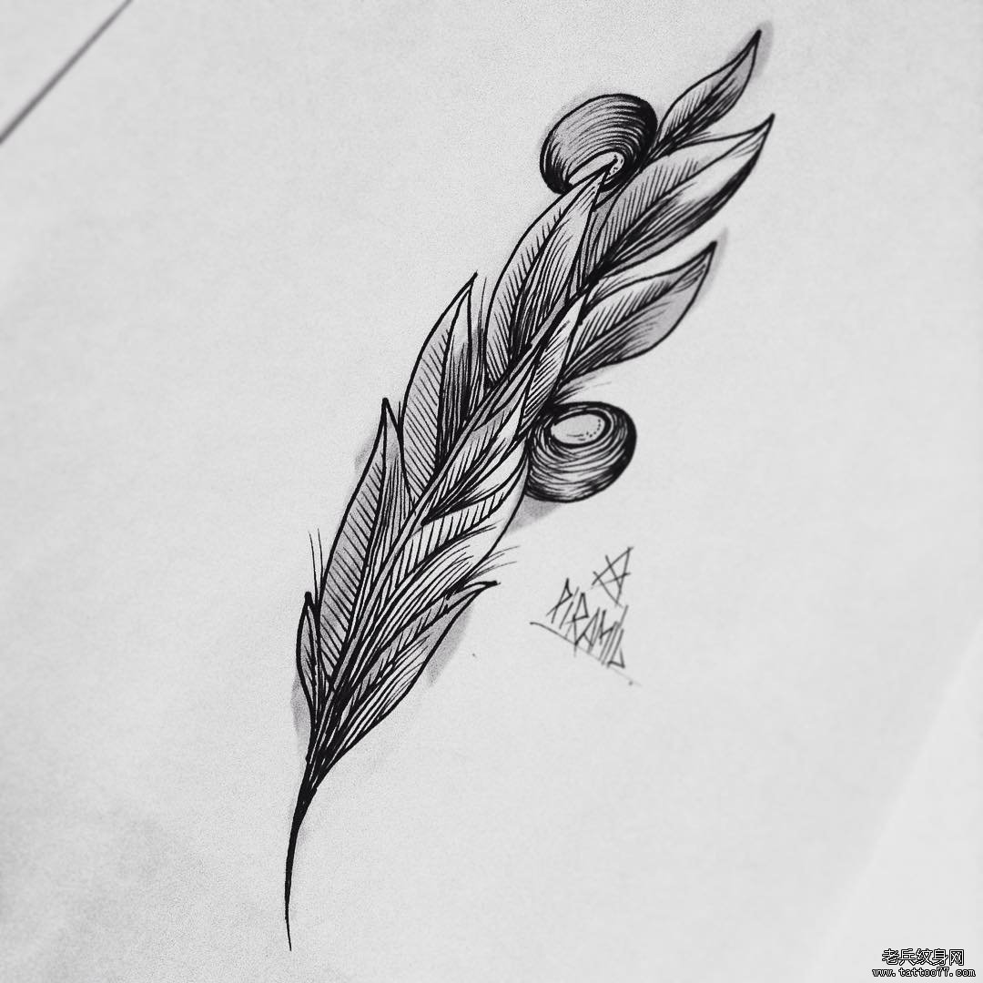 黑灰羽毛纹身手稿图案