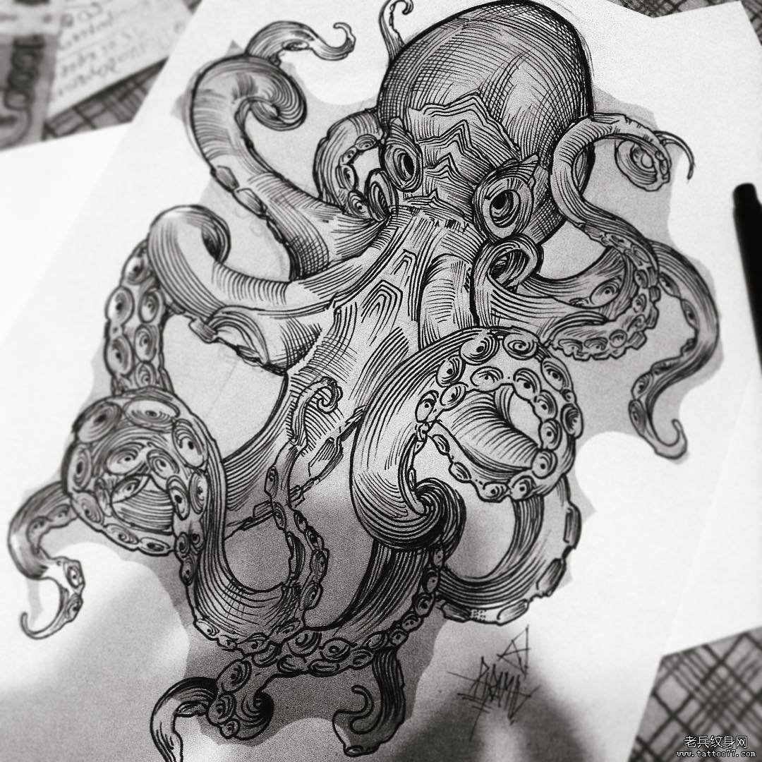 章鱼黑白线描画图片