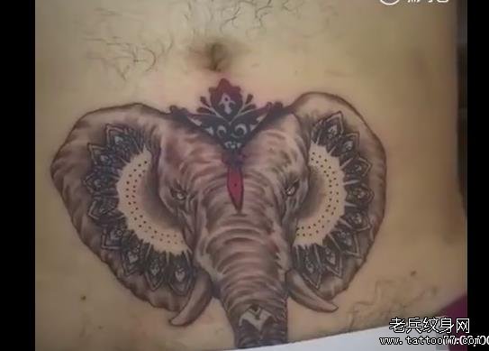 武汉老兵纹身腹部大象纹身视频