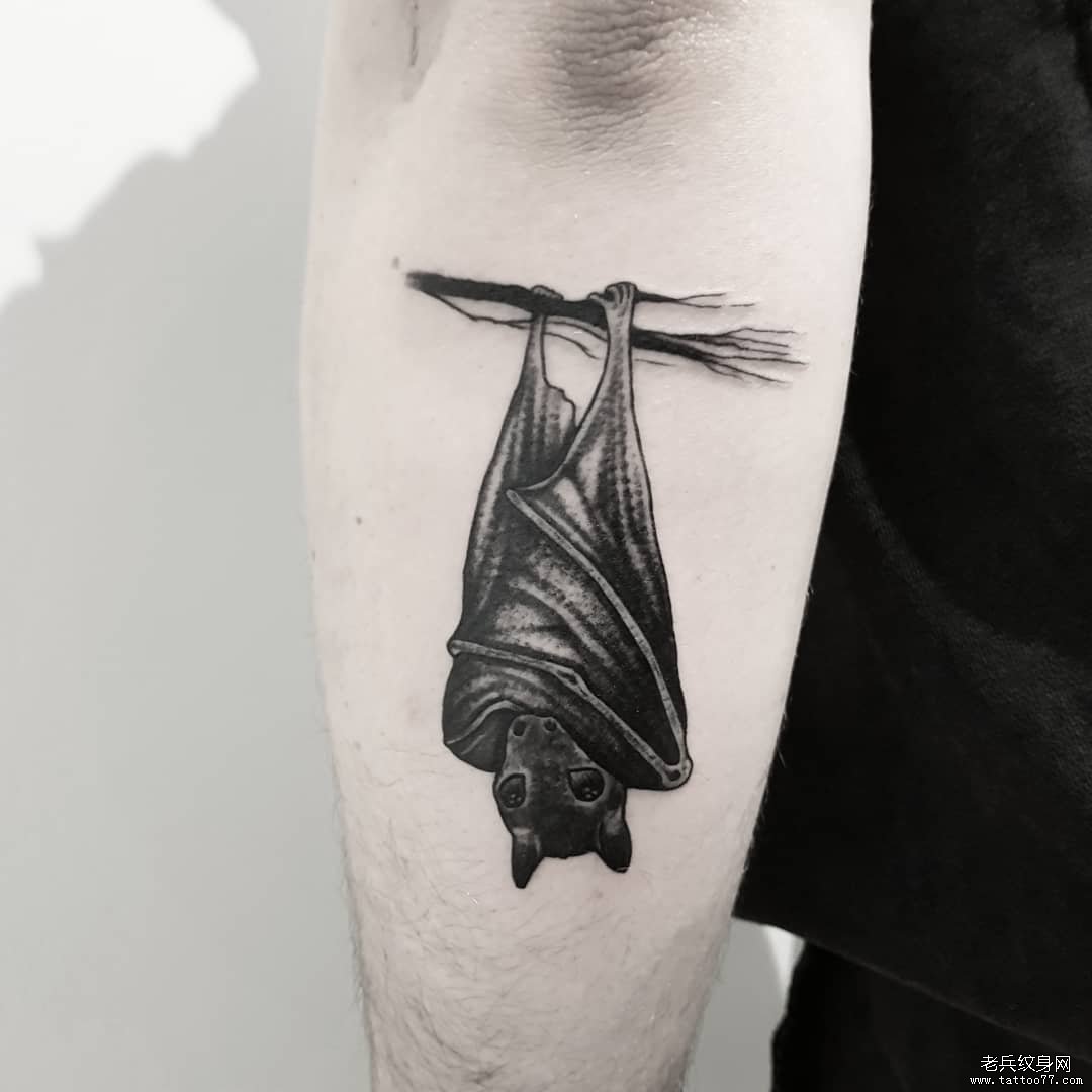 手臂黑灰蝙蝠纹身图案