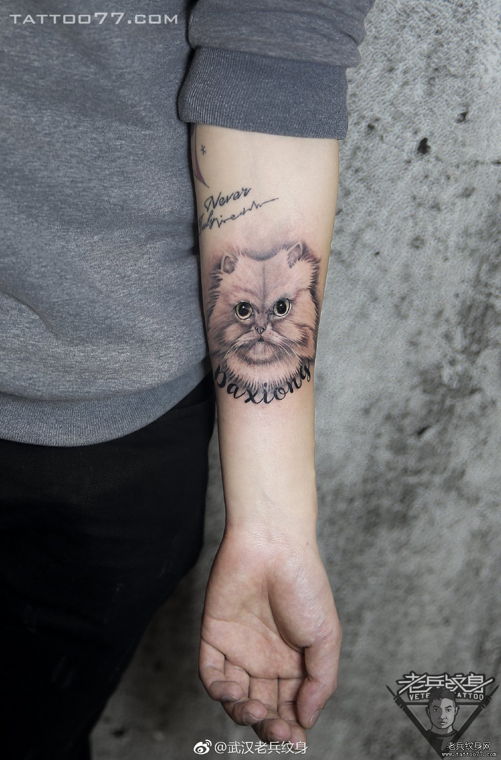 手臂黑灰写实猫咪纹身作品