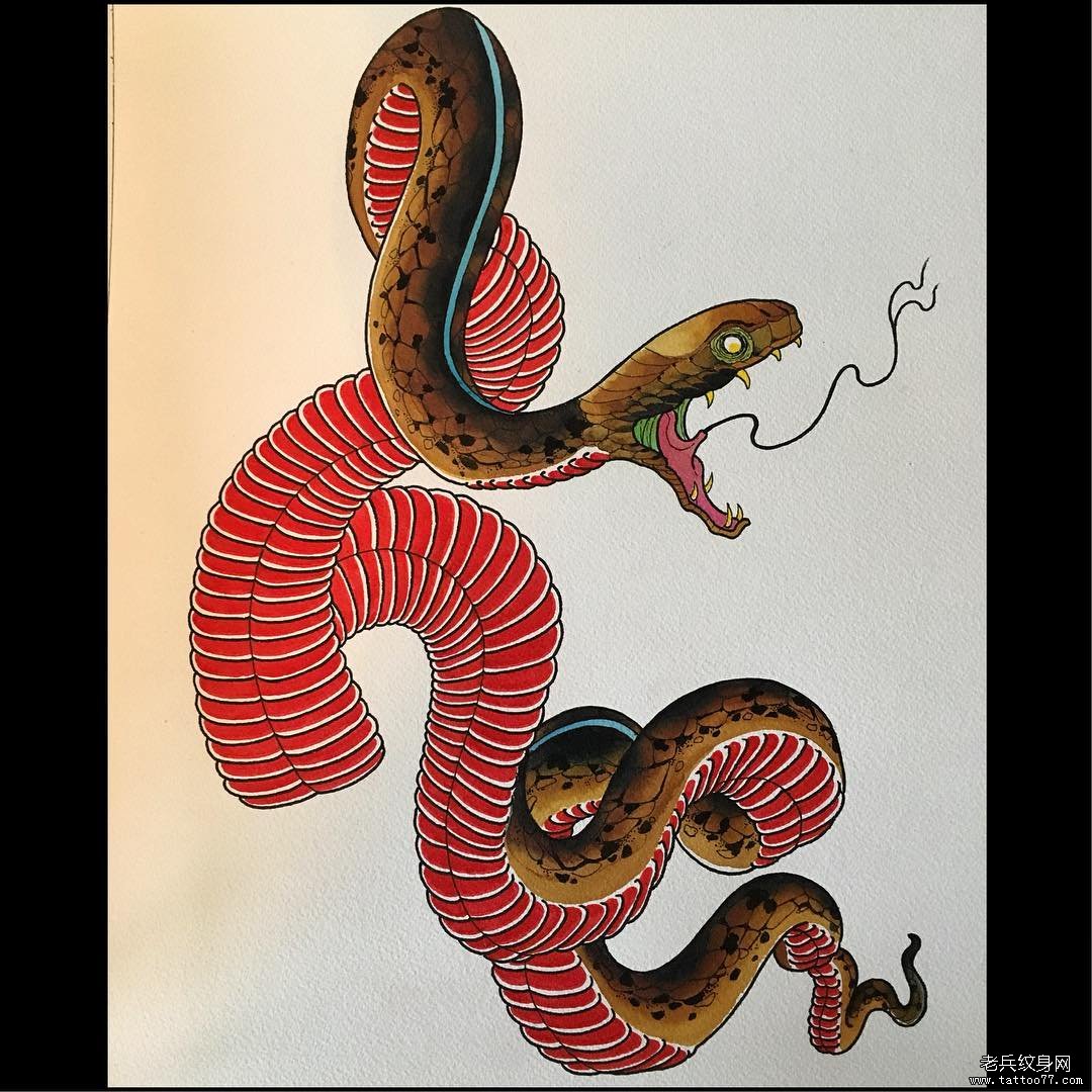 彩色蛇与花纹身图案 【雕哥刺青】出品 手臂英文短语遮盖 _纹身大咖图库