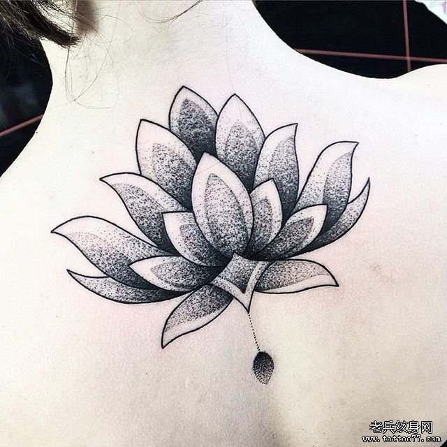 黑灰点刺莲花后背纹身图案