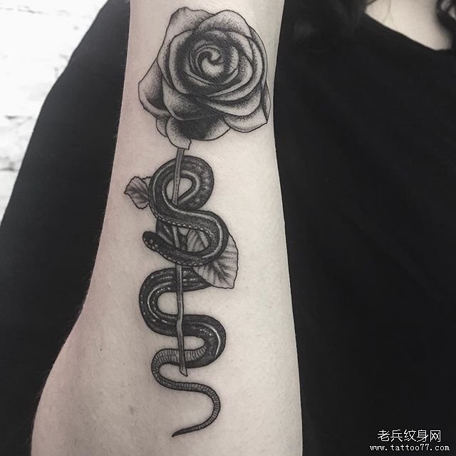 黑灰蛇玫瑰手臂纹身图案