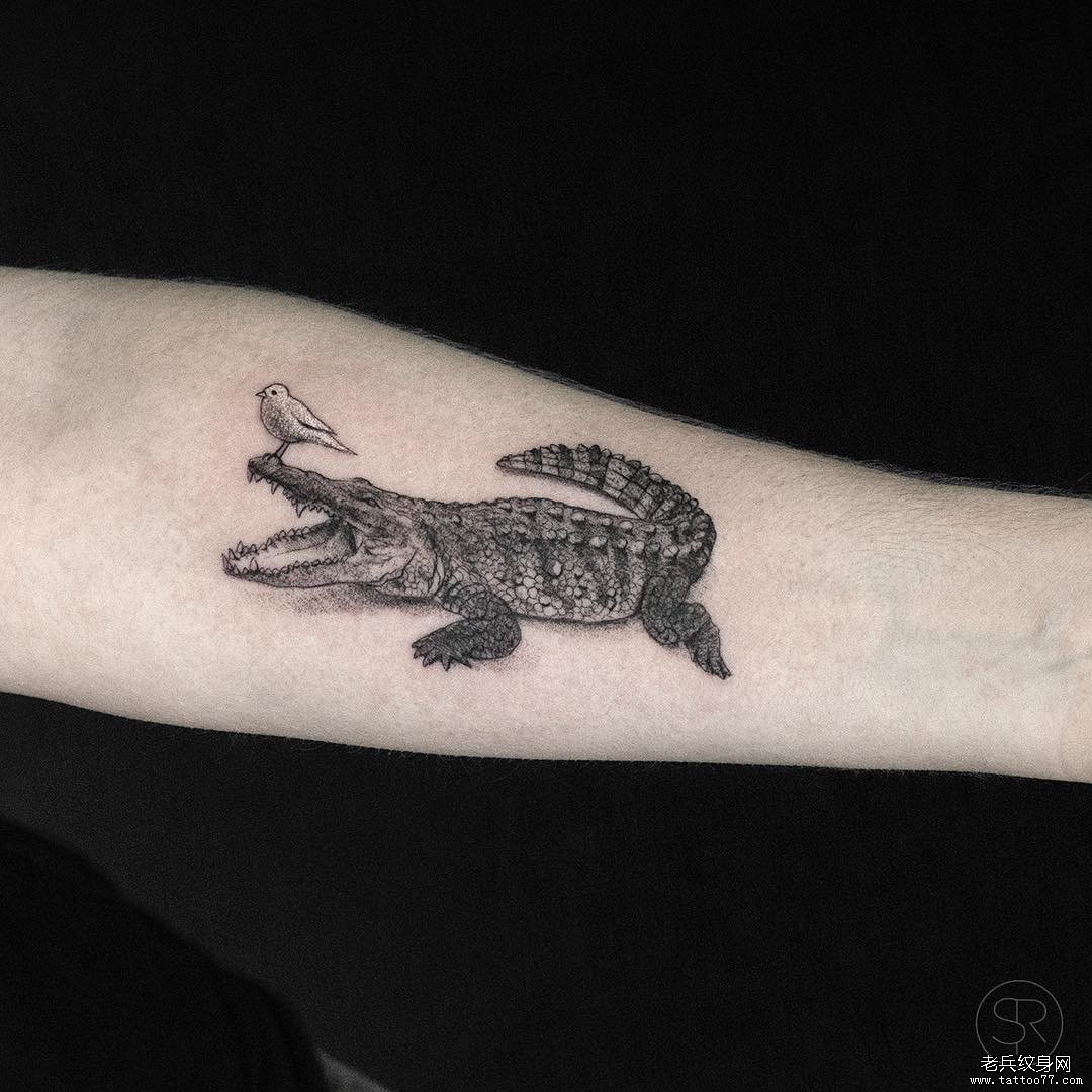 小臂鳄鱼眼睛写实纹身图案_杭州纹彩刺青纹身-站酷ZCOOL