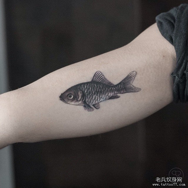 手臂鱼纹身图案