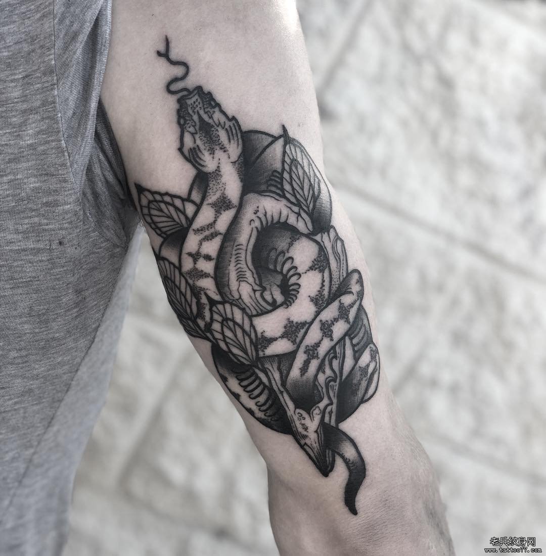 手臂黑灰蛇玫瑰花纹身图案
