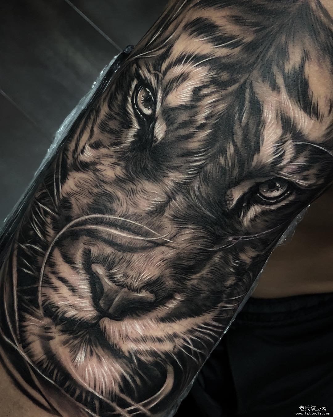 黑灰写实老虎纹身图案