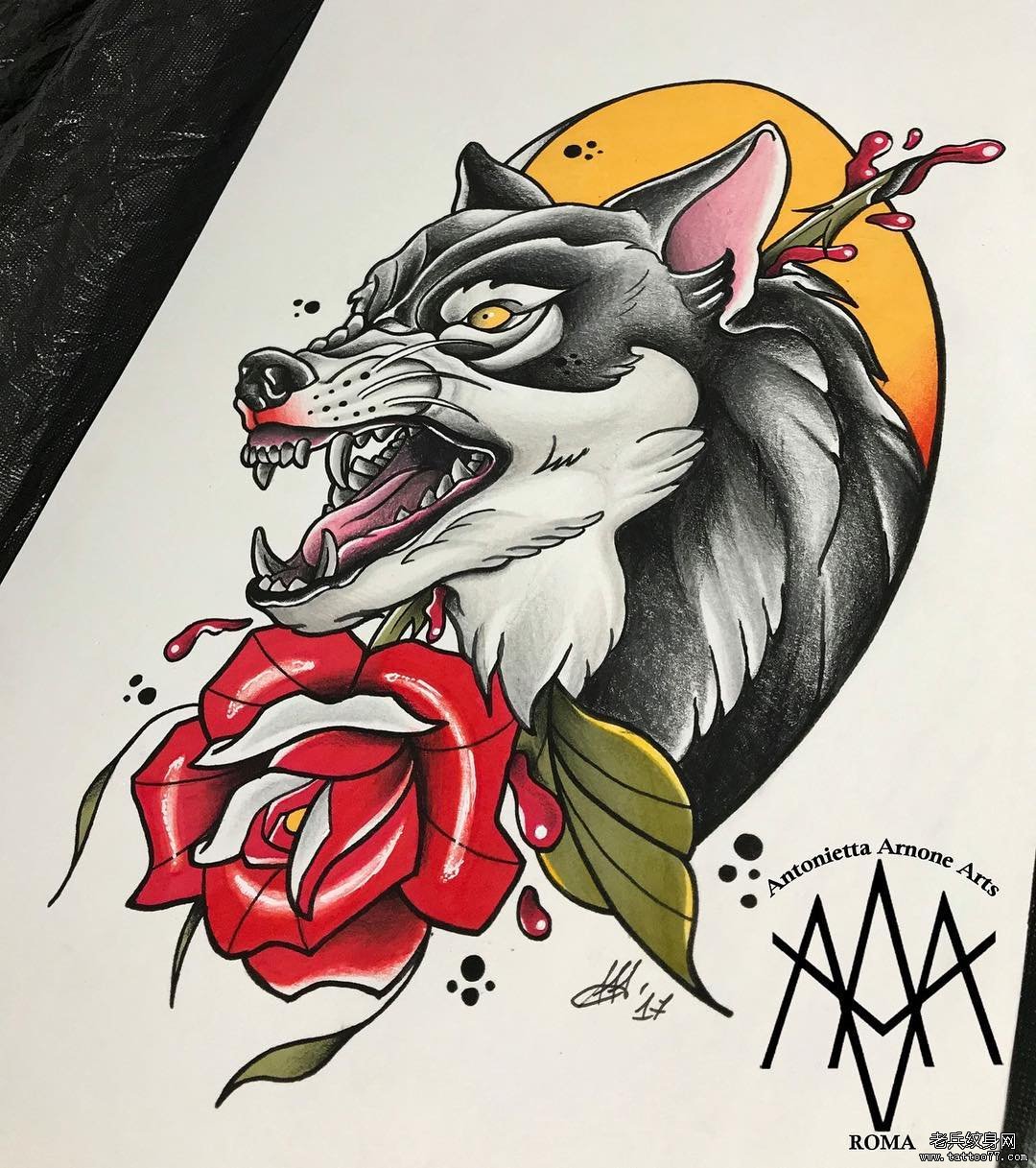 彩色狼玫瑰花纹身手稿图案