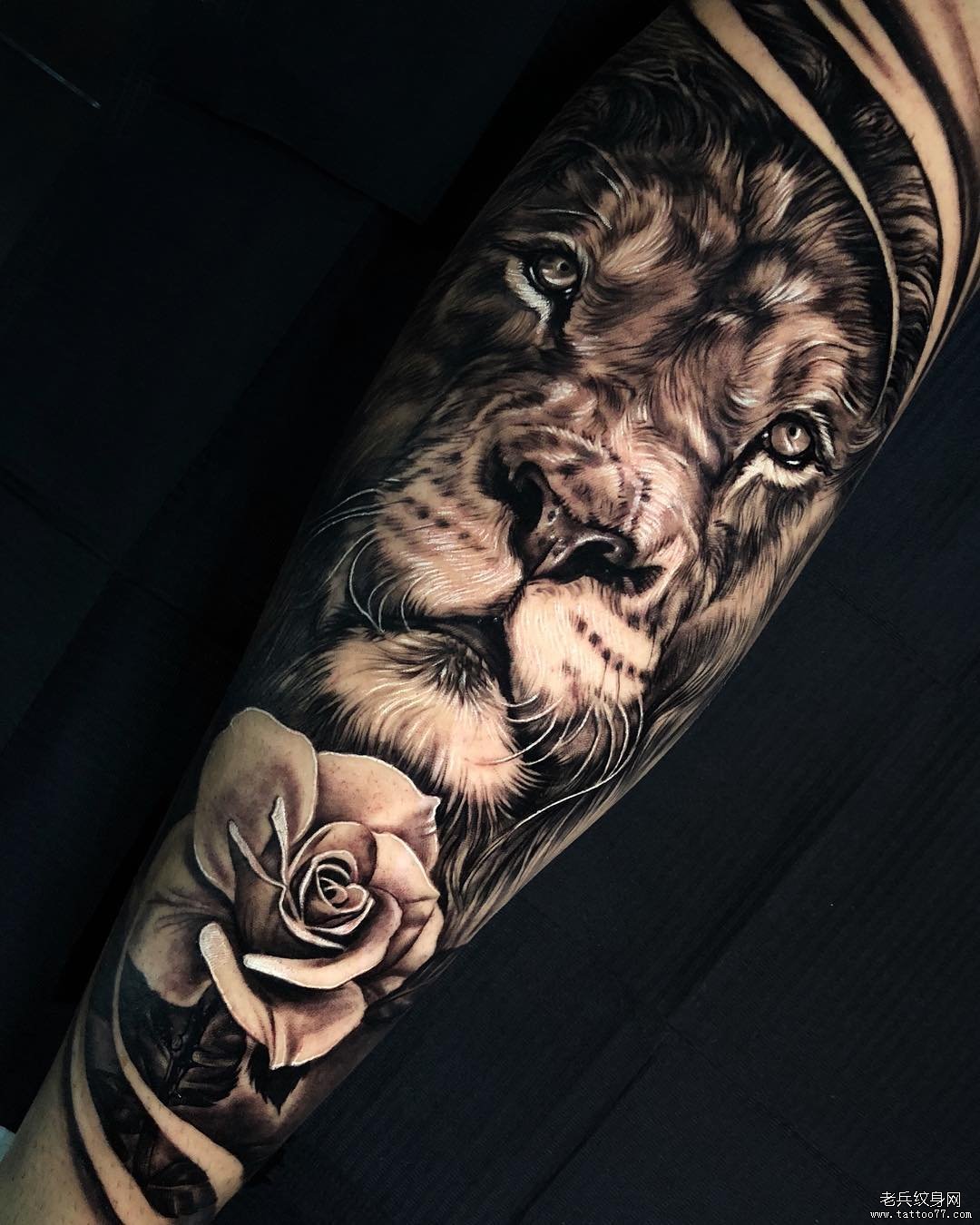 狮子纹身含义寓意+36幅狮子纹身手稿、效果图-成都纹彩刺青