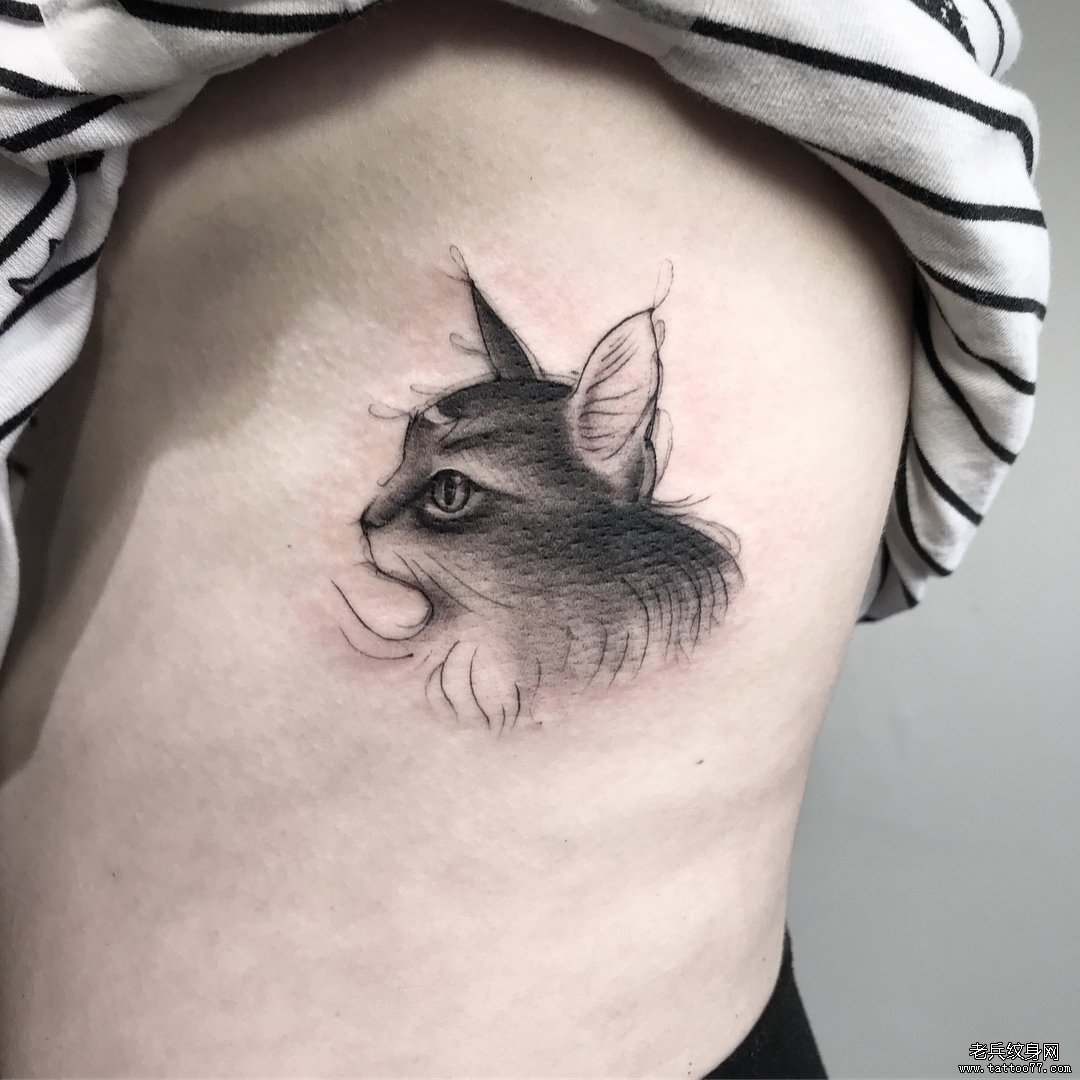 小清新动物猫咪纹身图案