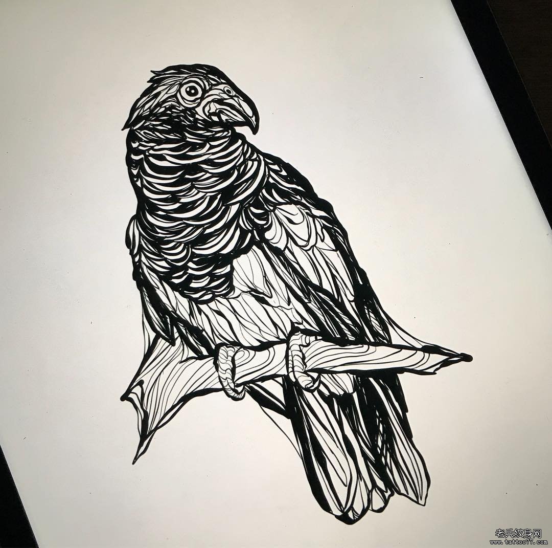 黑灰小鸟纹身手稿图案