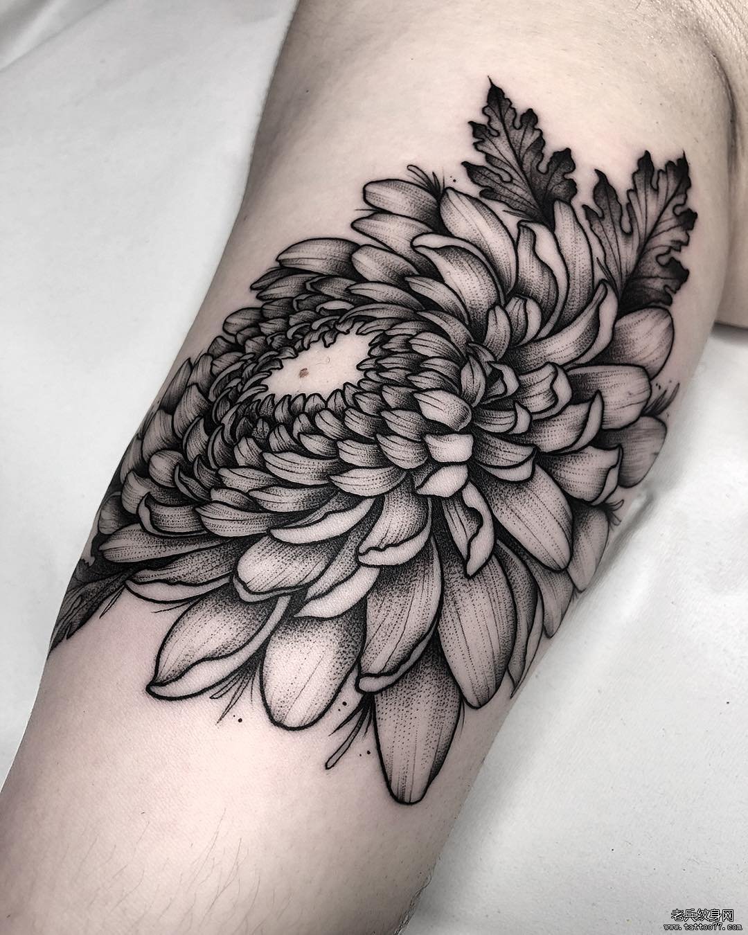 手臂黑灰花卉纹身图案